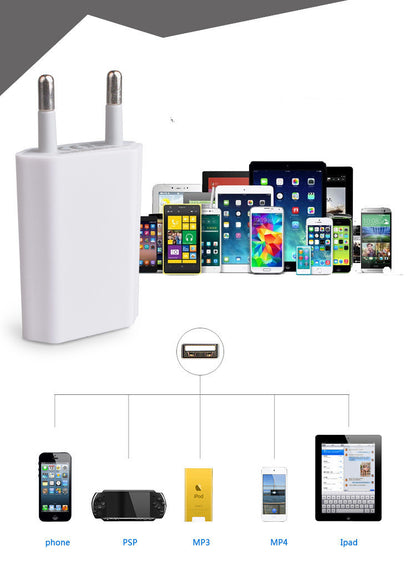 European Standard For Apple 4th Generation Mobile Phone Charger